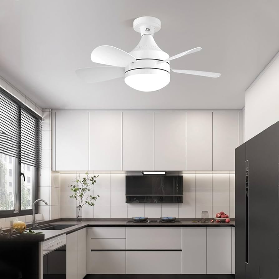 LED Ceiling Fan Light