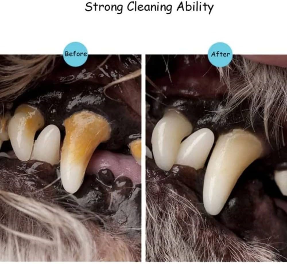 Pet Teeth Cleaning Kit | 2 Pens طقم تنظيف أسنان الحيوانات | 2 أقلام