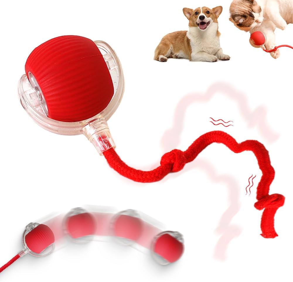 Interactive Pet Rolling Ball كرة تدحرج تفاعلية للحيوانات الأليفة