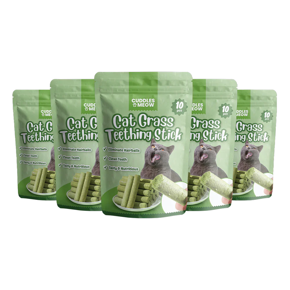 Cat Grass Teething Stick عصا تسنين عشب القطط