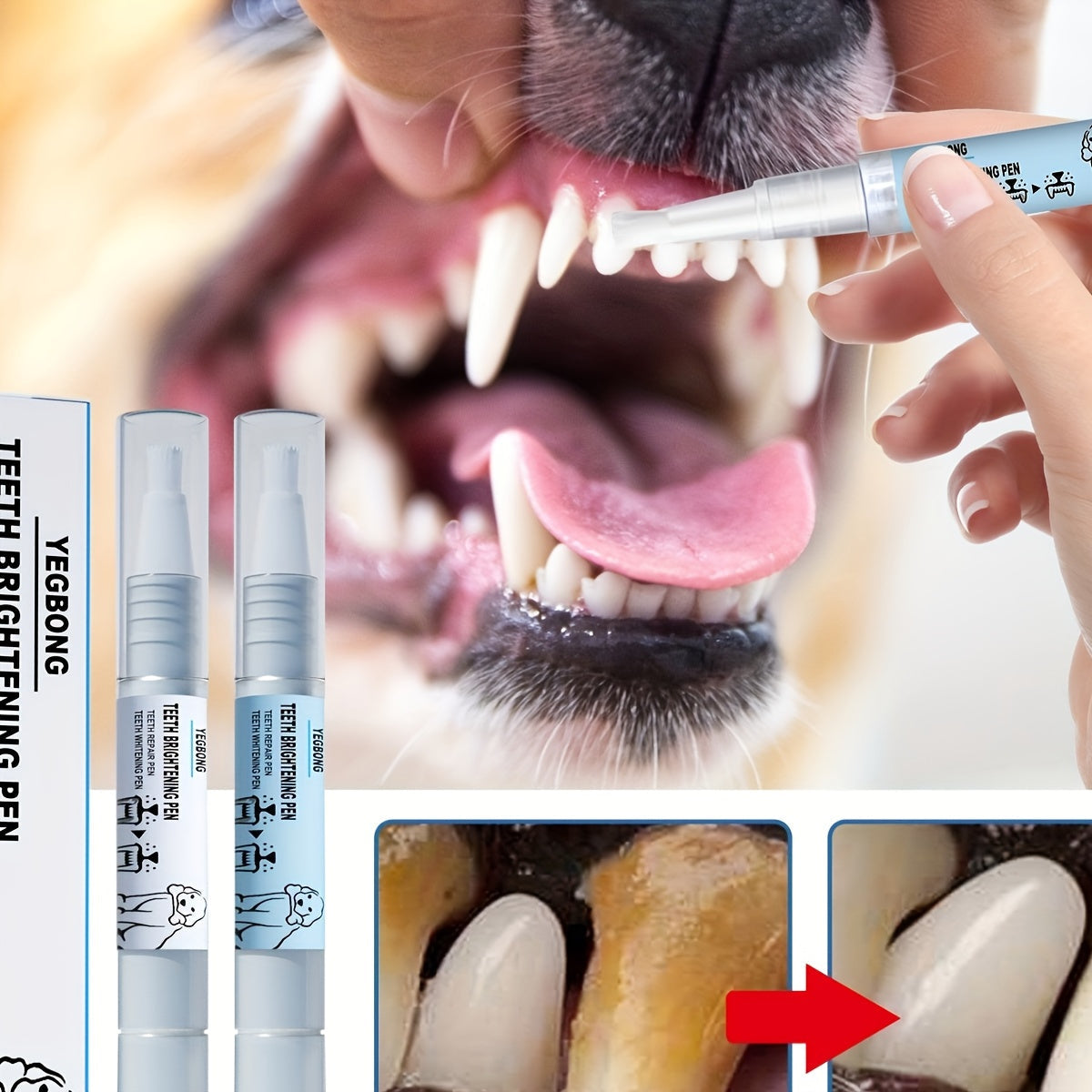Pet Teeth Cleaning Kit | 2 Pens طقم تنظيف أسنان الحيوانات | 2 أقلام