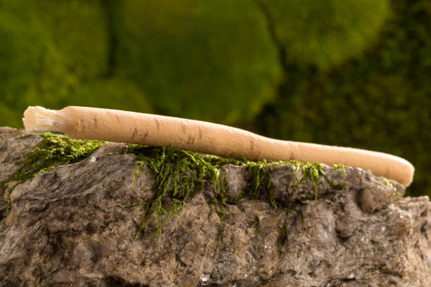 Pack of 5 Authentic Miswak Sticks عبوة 5 عيدان مسواك أصلية