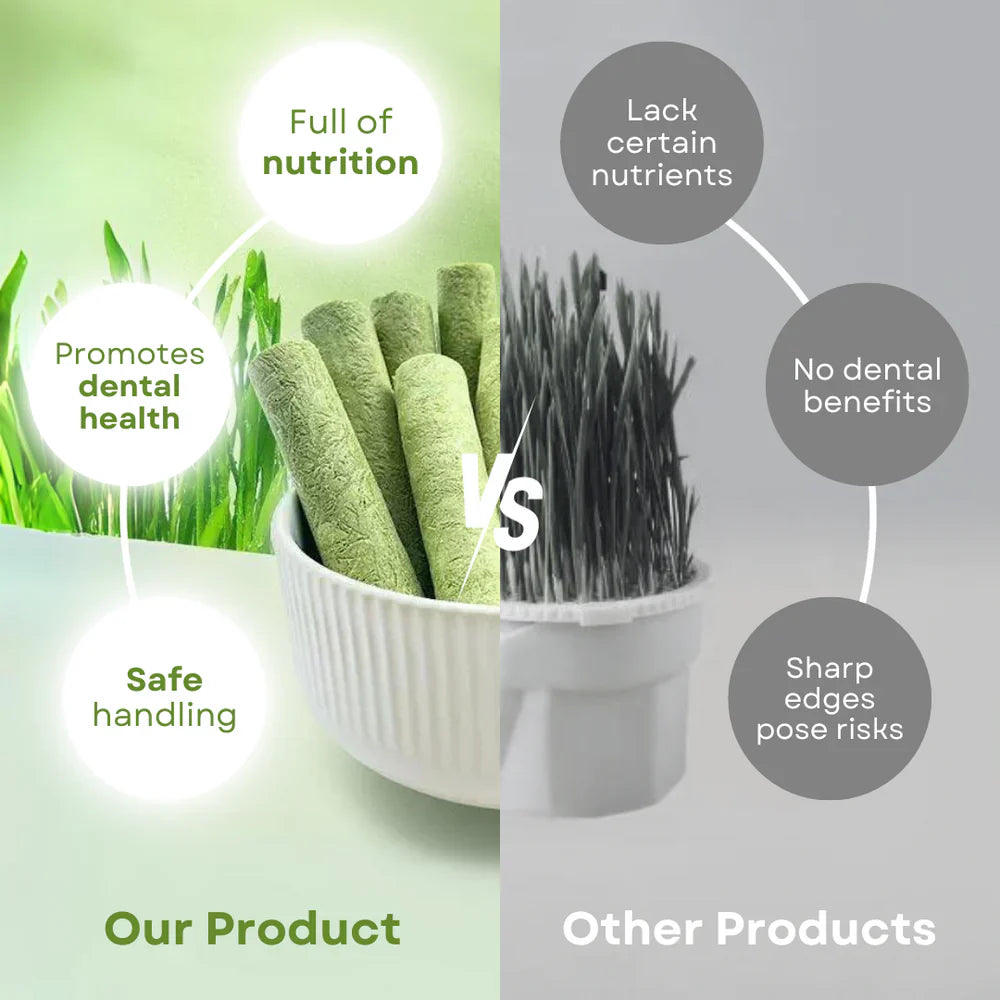 Cat Grass Teething Stick عصا تسنين عشب القطط