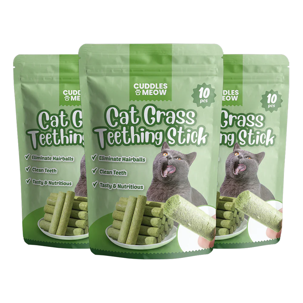 Cat Grass Teething Stick عصا تسنين عشب القطط