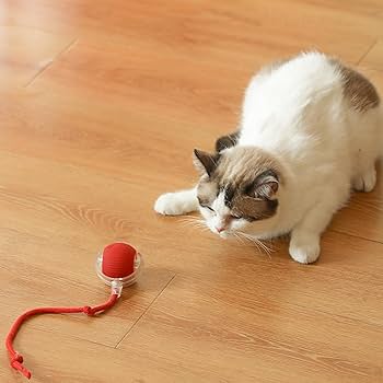 Interactive Pet Rolling Ball كرة تفاعلية للحيوانات الأليفة