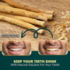 Pack of 5 Authentic Miswak Sticks عبوة 5 عيدان مسواك أصلية