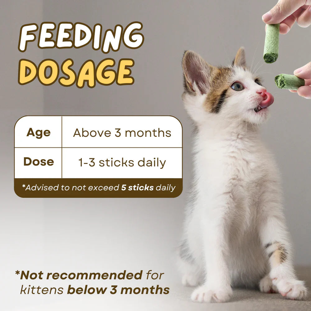 Cat Grass Teething Stick عصا تسنين عشب القطط