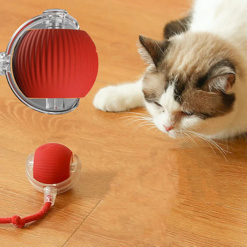 Interactive Pet Rolling Ball كرة تفاعلية للحيوانات الأليفة